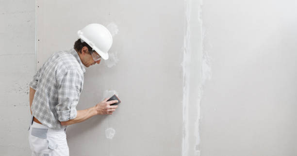 Best Commercial Painting  in Depew, NY